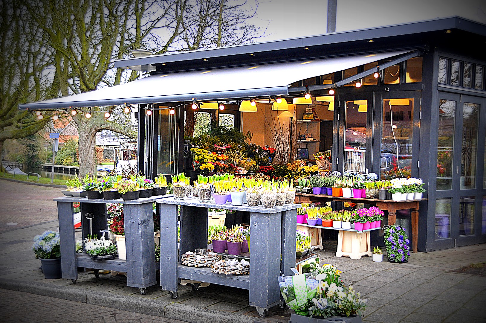 Bloemenhandel Han van Baekel