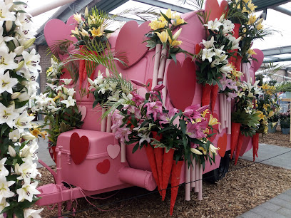 Galerie Nieuw Schoten