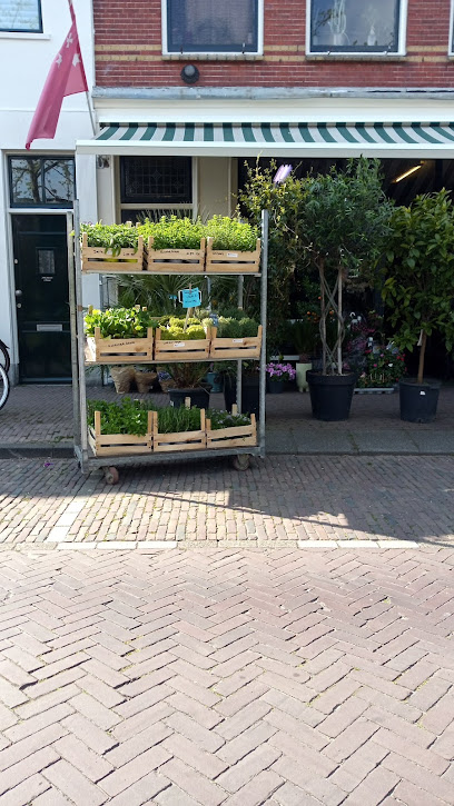 Planten Centrum Pieter Makkelie