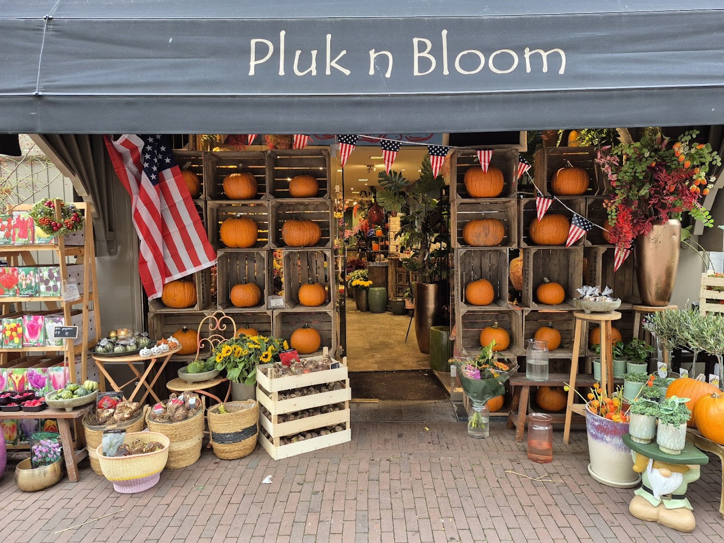 Pluk n Bloom Haarlem