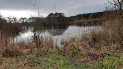 Wethouder van Gelukpark
